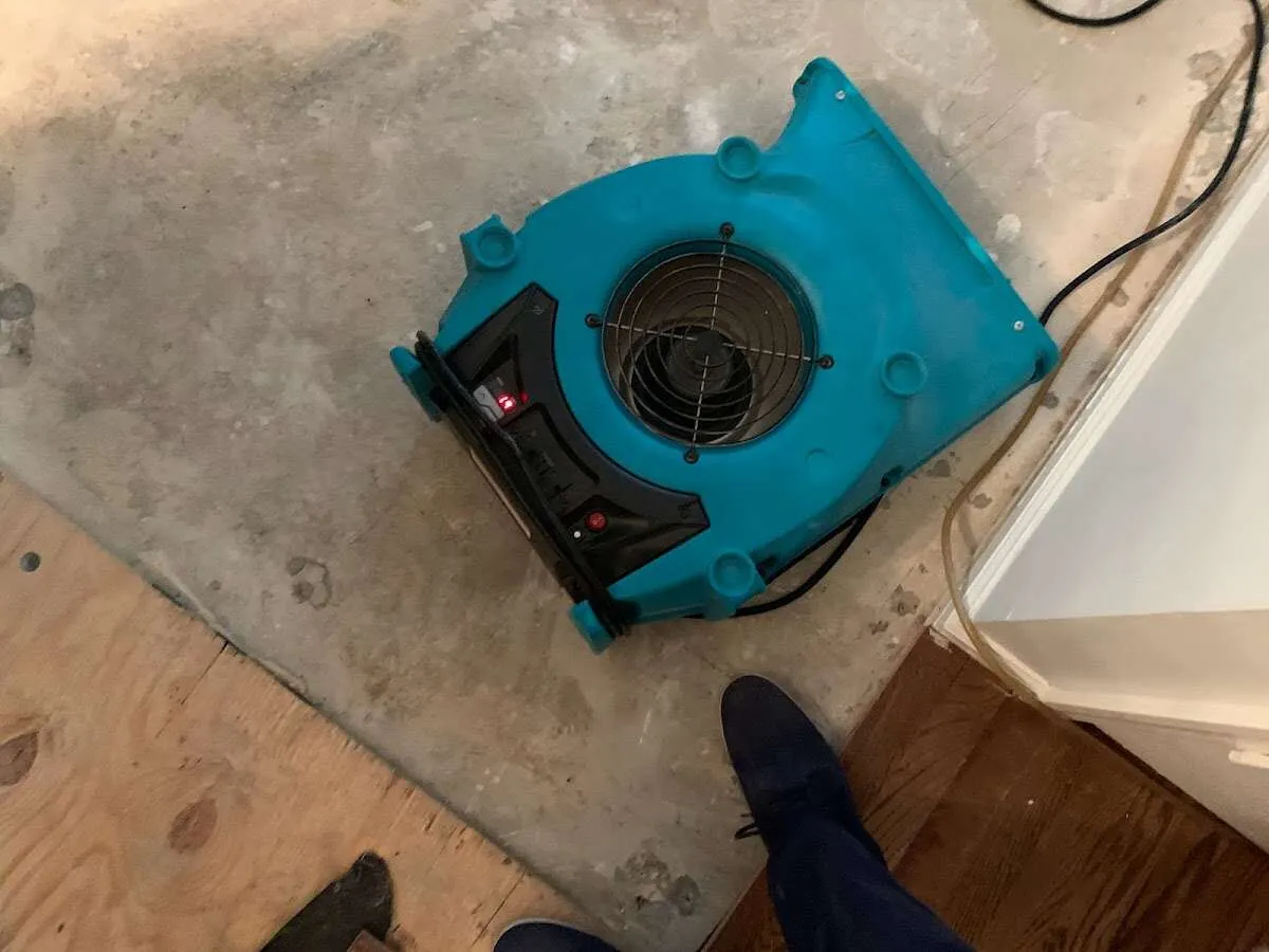 Air mover drying subfloor during Commercial Water Damage Restoration in Roxborough Park